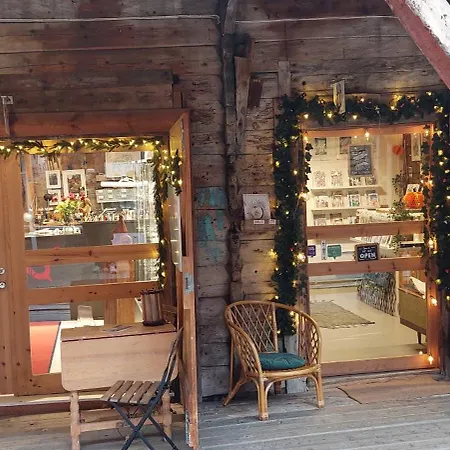 Center Bryggen 公寓 *