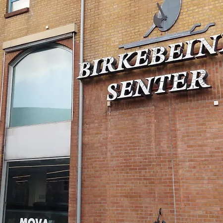 公寓 Center Bryggen