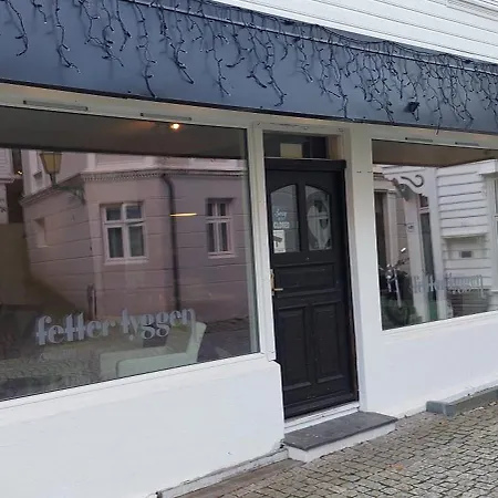 Center Bryggen 公寓 *